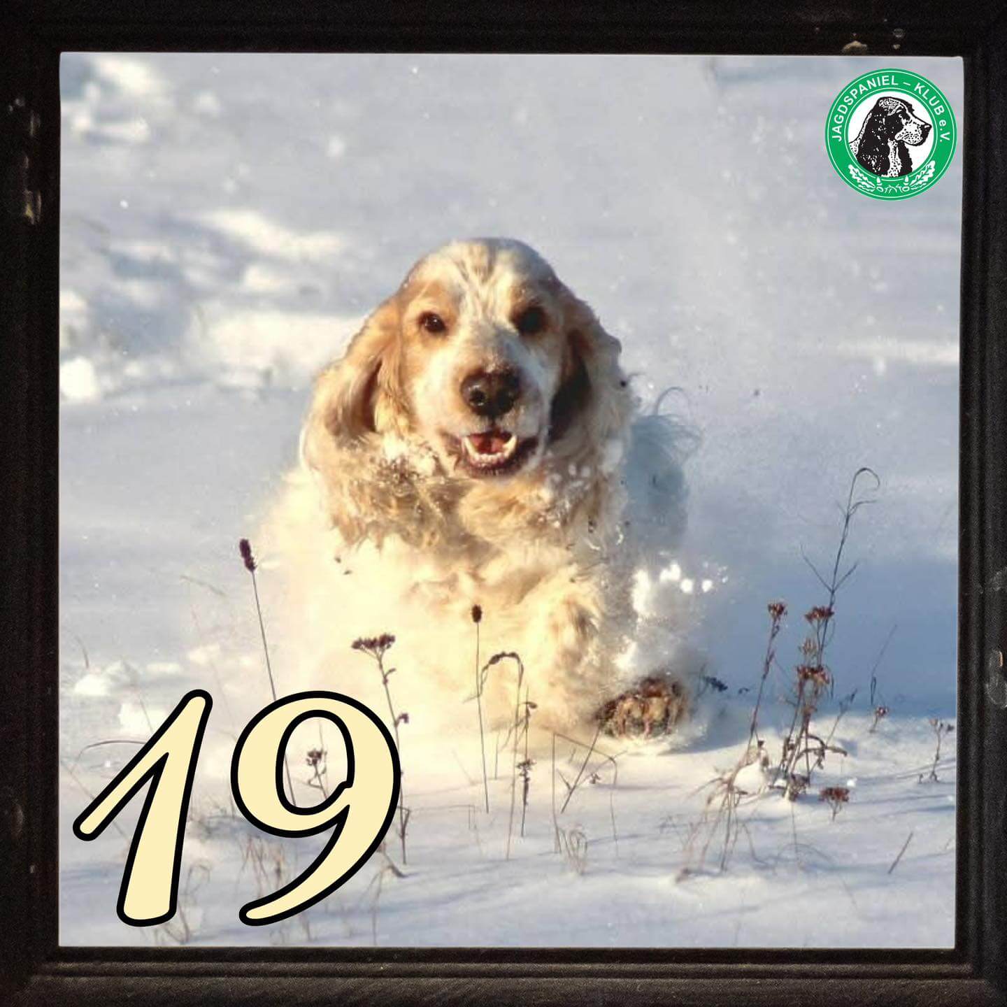 19. Advent